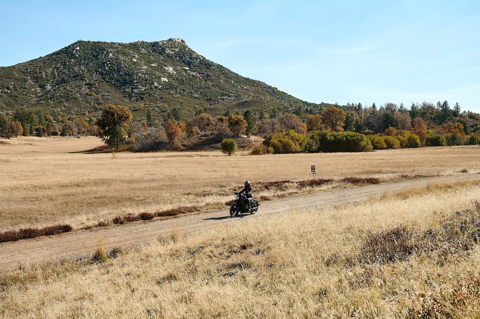 Women Riders Now