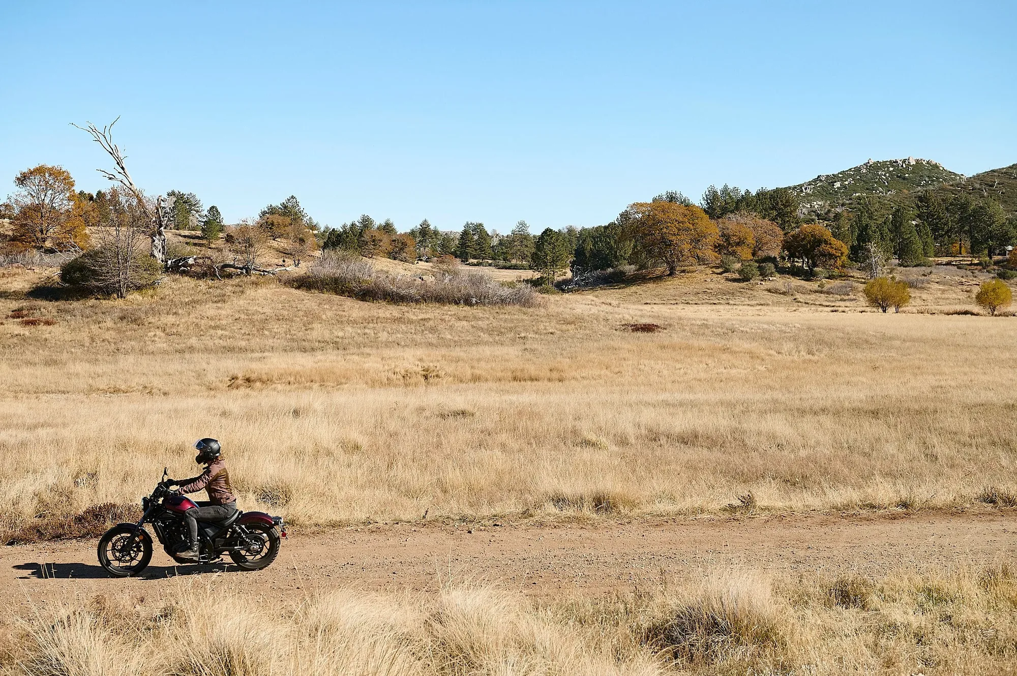Women Riders Now