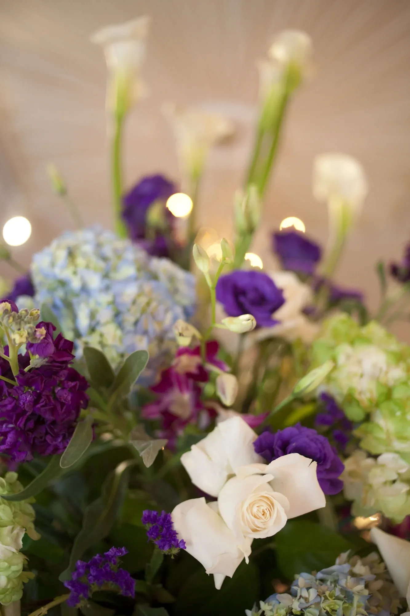 Angela & Anthony wedding