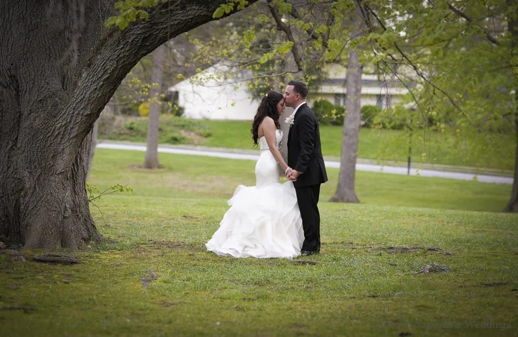 Dana & Paul wedding