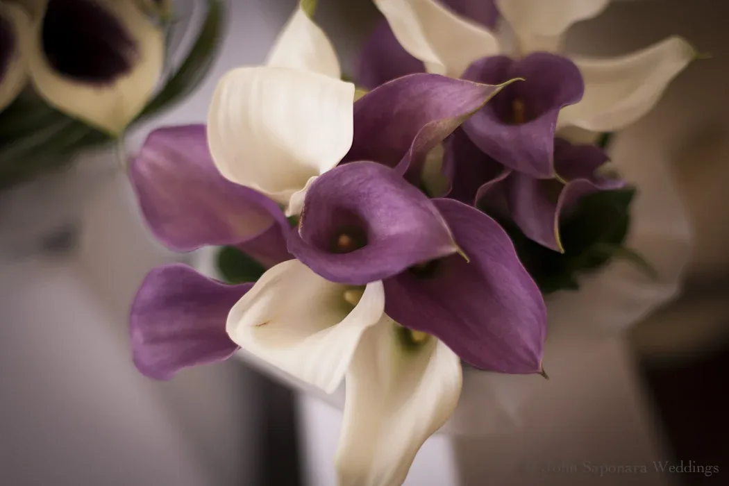 Tiffany & Marshall wedding